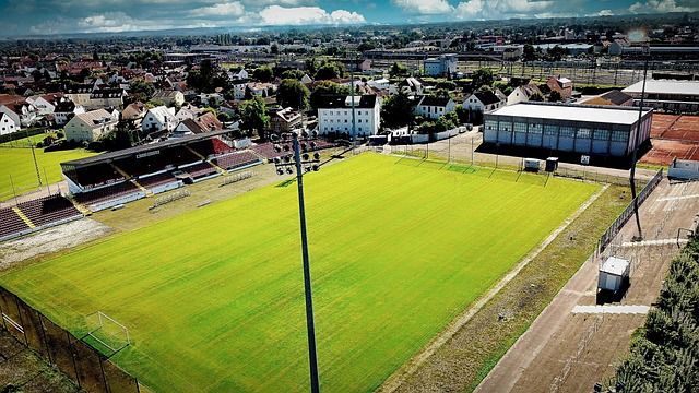 的心理素质 的心理素质