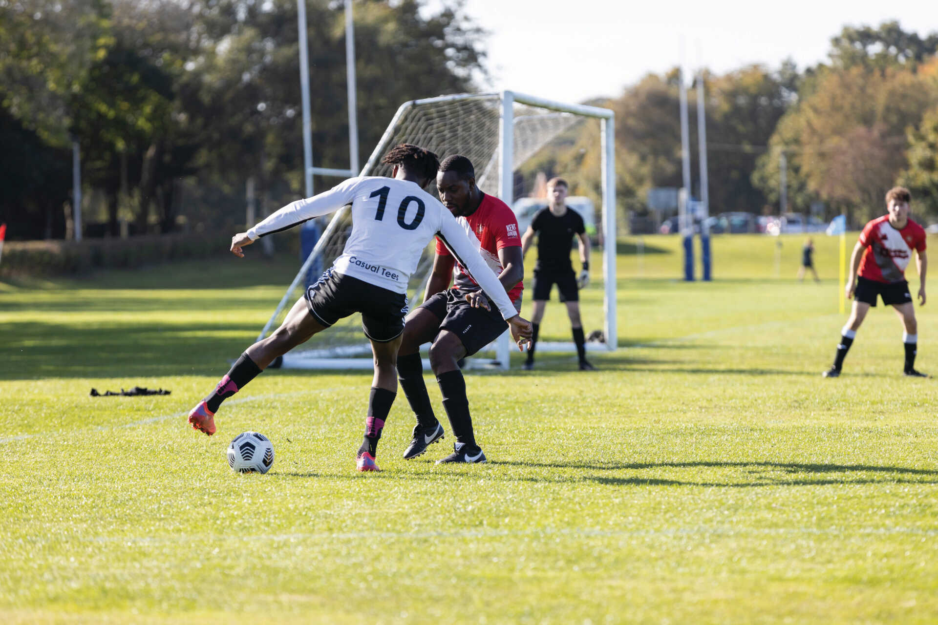 这一动向都 这一动向都