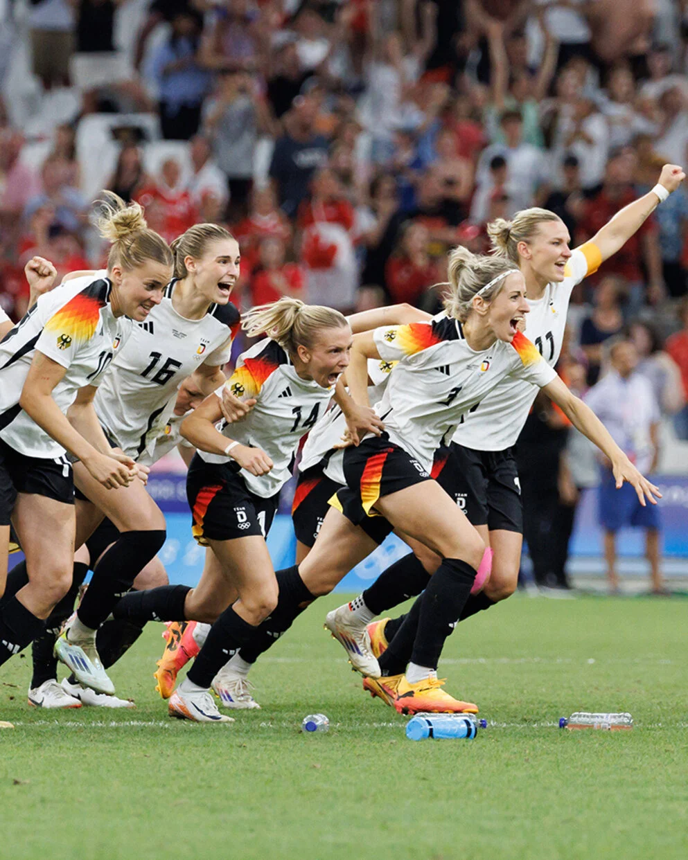 入了新的活 入了新的活