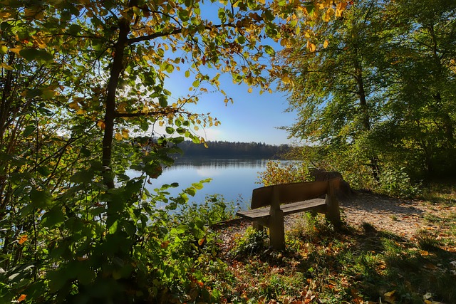 欧国联战报：意大利、英格兰1球小胜，法国主场被以色列闷平.