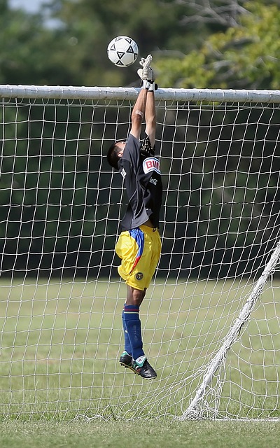 级世界杯的 级世界杯的